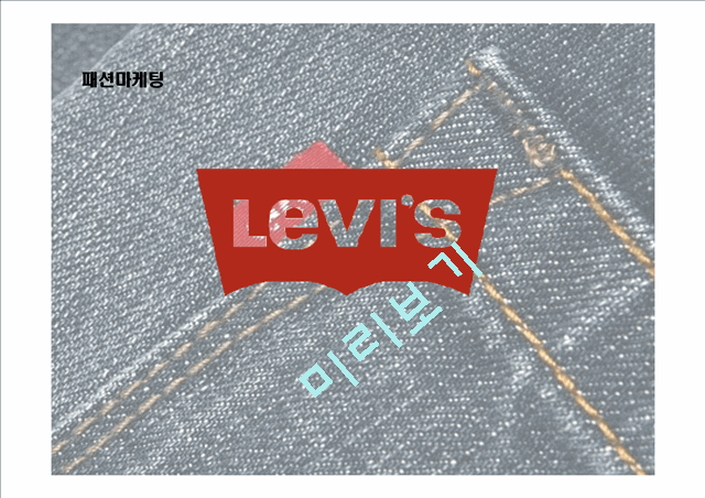 리바이스(levis) 패션마케팅 성공과 실패사례분석 파워포인트   (1 )